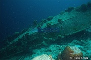 Ambiance Epave-Bonaire Buddy reef-16m-20180223-Denis-ADER-DSC_7795_tn